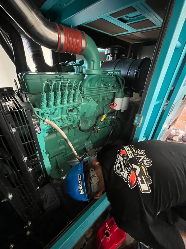 WhatsApp Image 2026-02-14 at 11.36.16